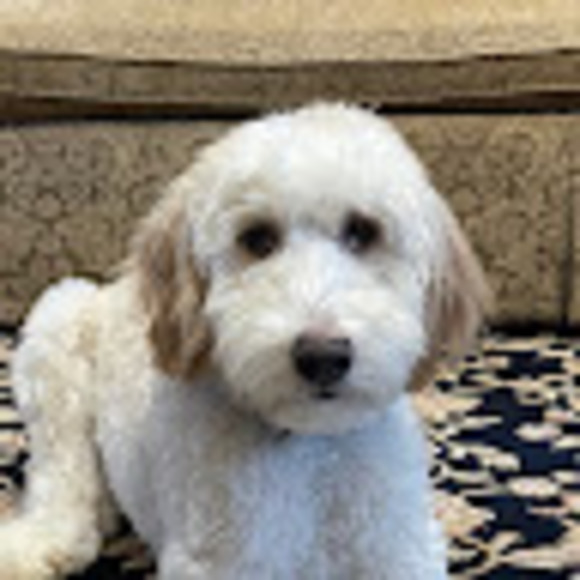 Meet your Posher, Emina - Picture 1 of 1